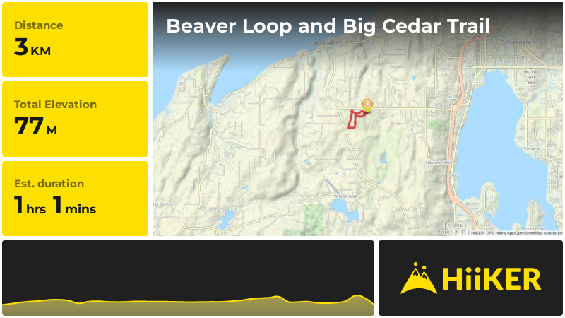 Beaver Loop and Big Cedar Trail | Kitsap County | Washington