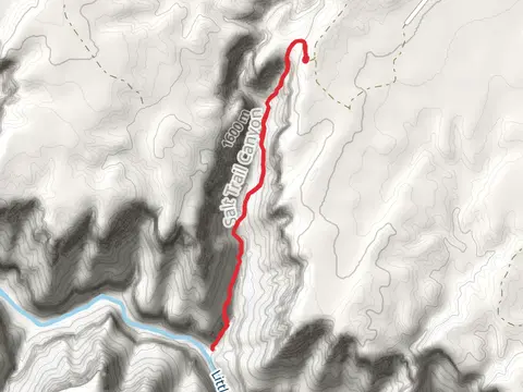 Bekihatso Wash via Salt Trail