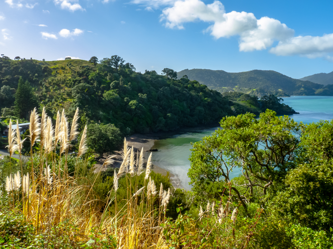 Mount Aubrey - Reotahi Shoreline Loop