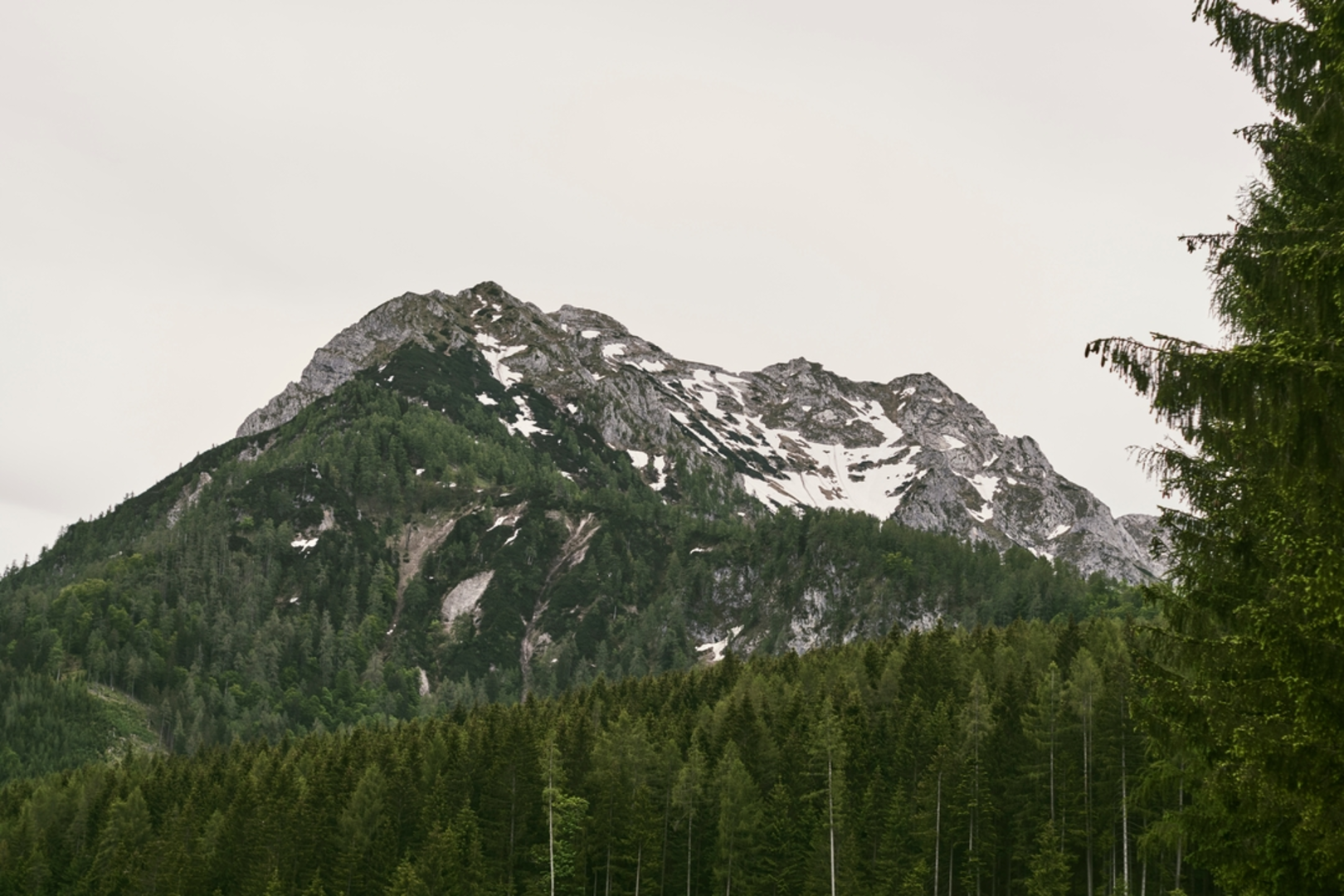 An image depicting the trail Oberweng - Gowilalm - Small Pyhrgas and its surrounding area.