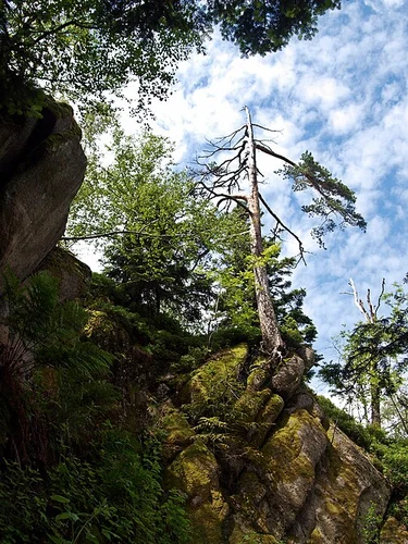 Wiedenfelsen Loop via Gertelbach Rundweg