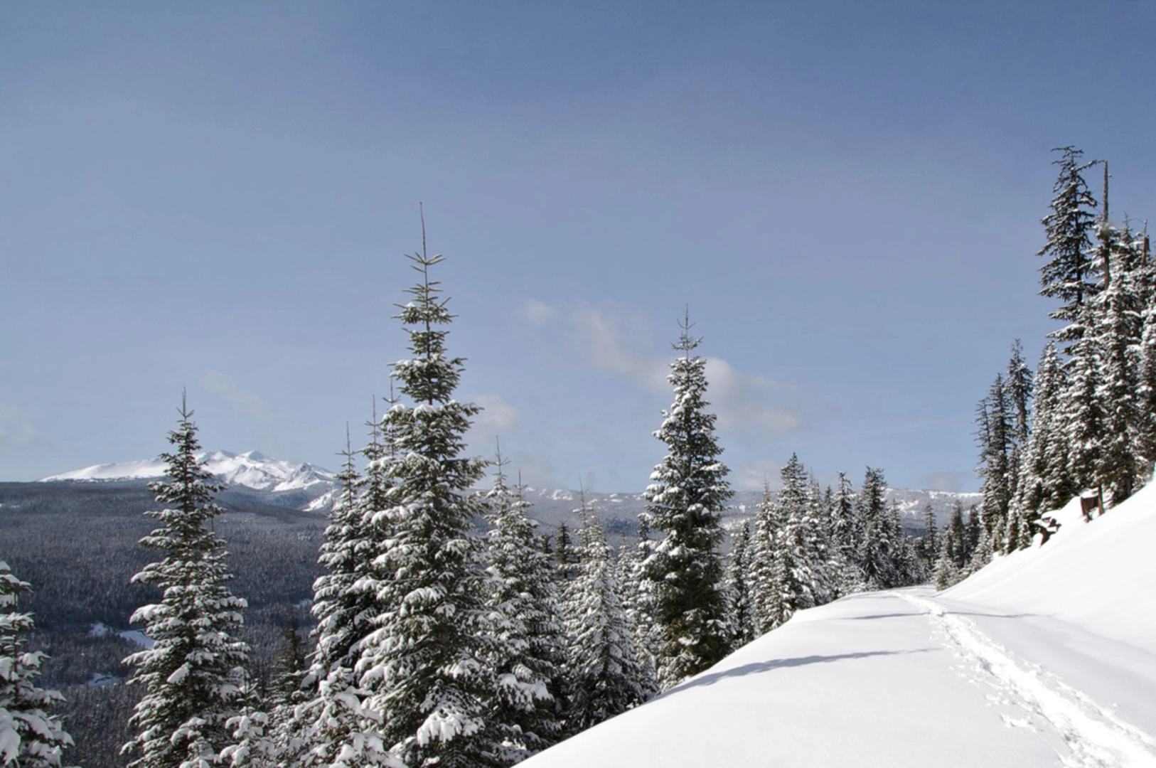 An image depicting the trail Notch Lake and Divide Lake via Mount Yoran Trail and its surrounding area.