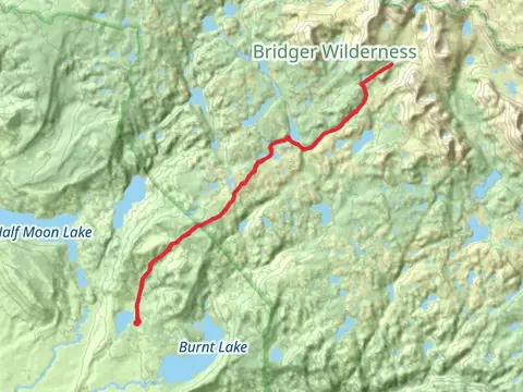 Timico Trail