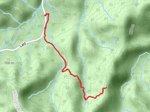 Lead Cove Trail