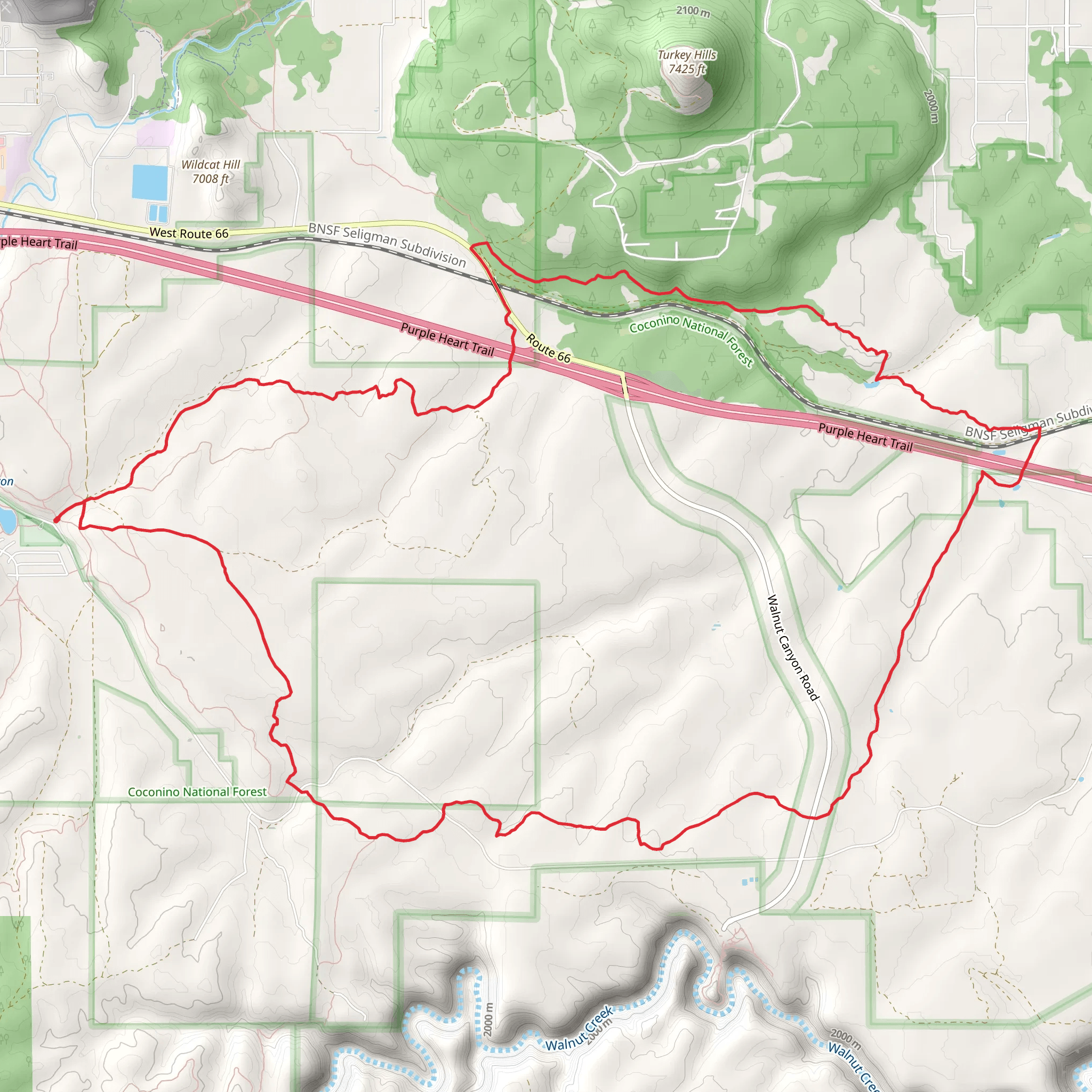 Campbell Mesa, Arizona and Walnut Meadows Loop Trail mobile static map