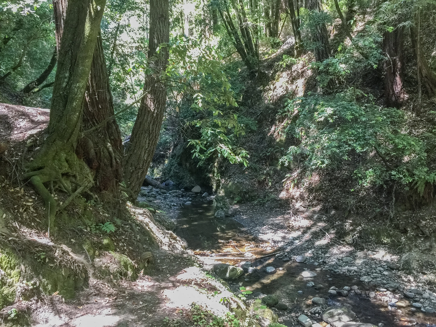 An image depicting the trail Monte Vista Trail via Creek Trail and its surrounding area.