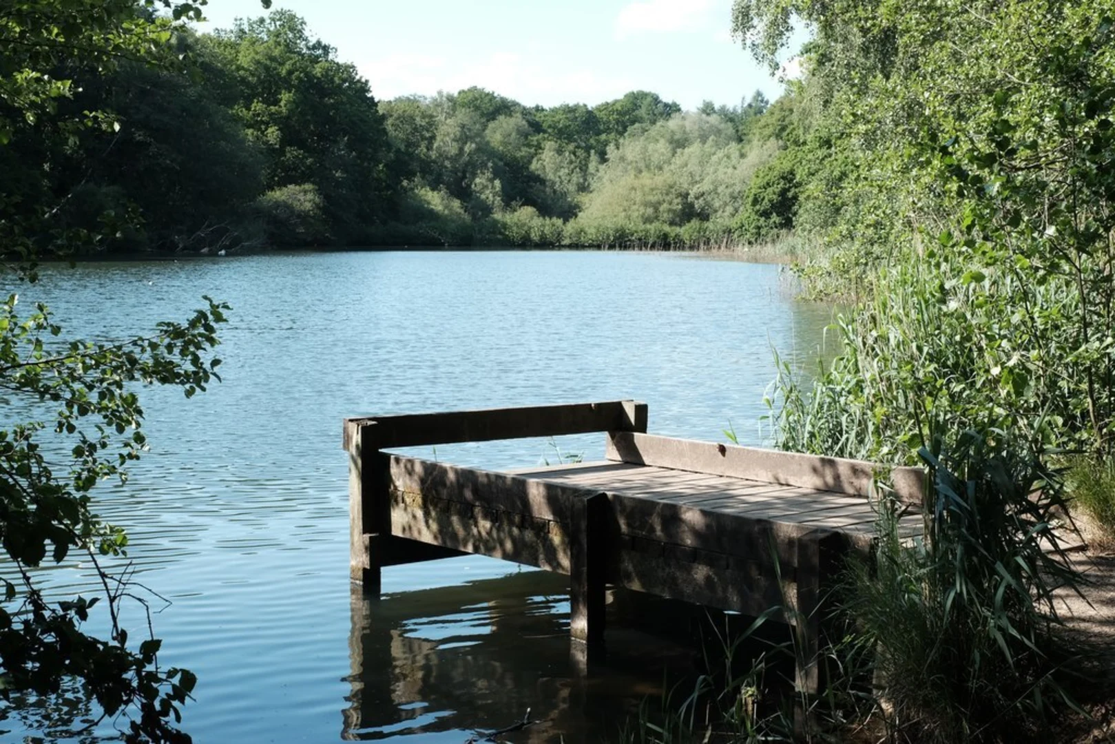 An image depicting the trail Cannop Ponds Loop and its surrounding area.