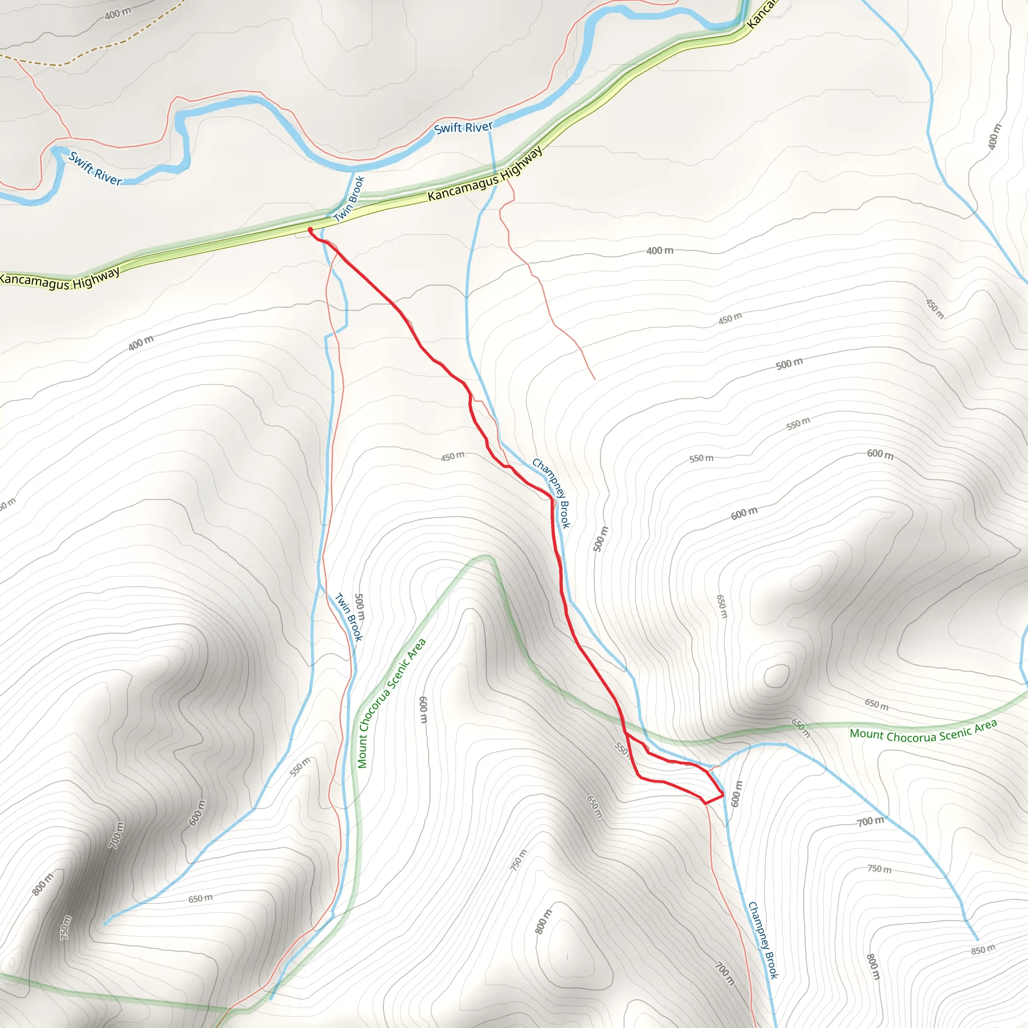 Champney Brook Out and Back mobile static map