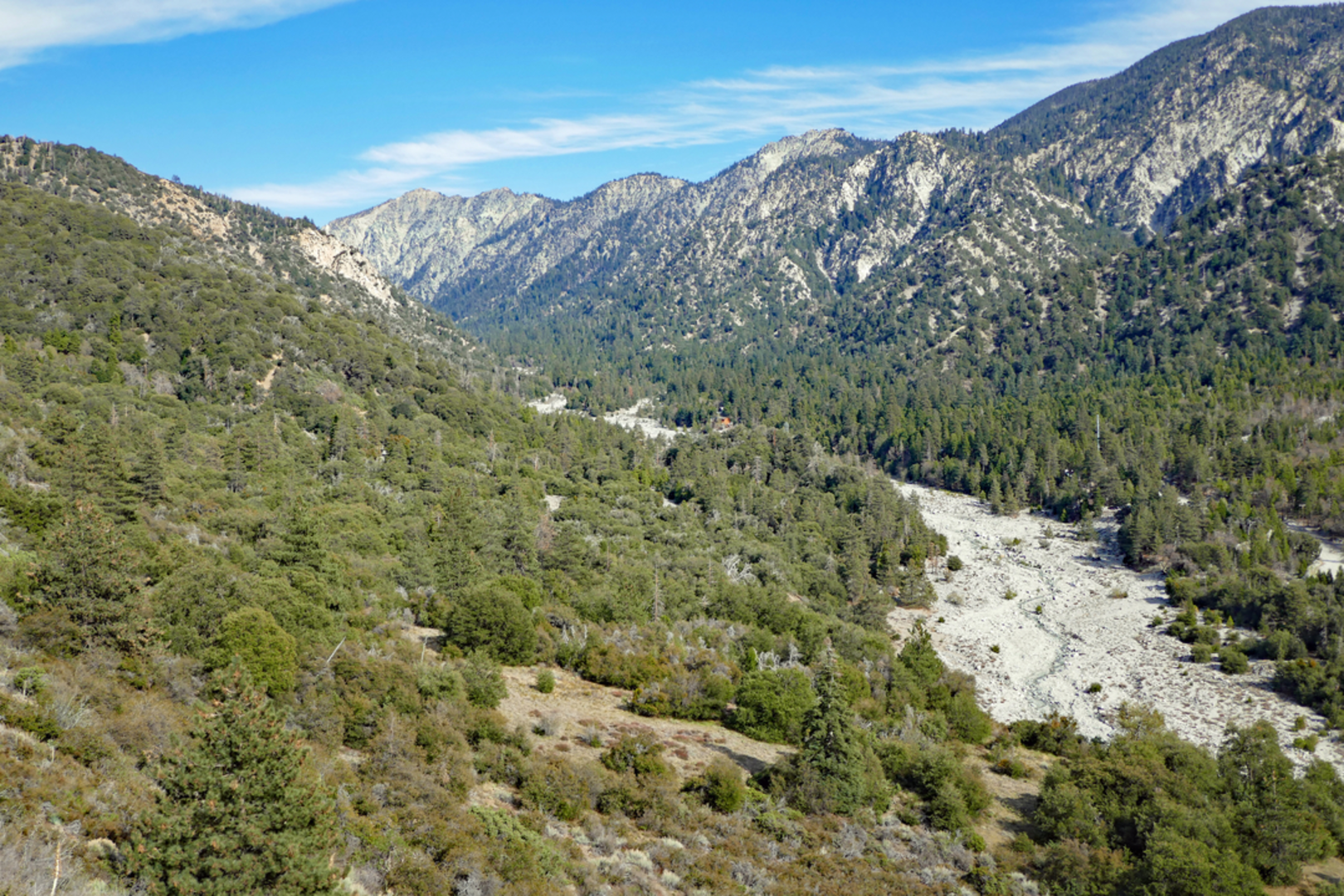 An image depicting the trail Mill Creek Trail and its surrounding area.