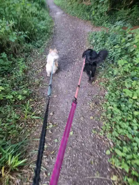 Lordsdate Greenway