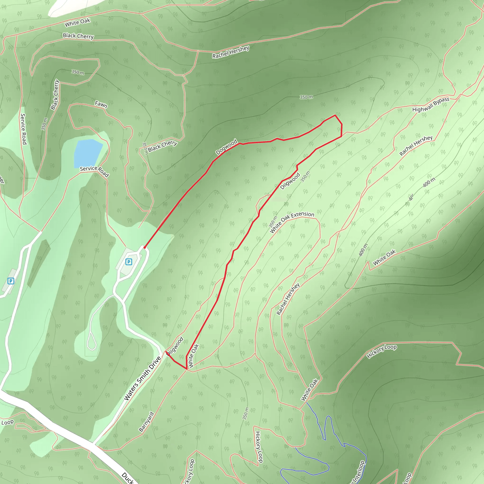 Dogwood mobile static map