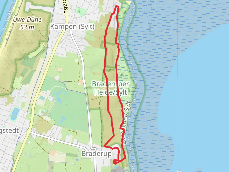 Braderuper Heide