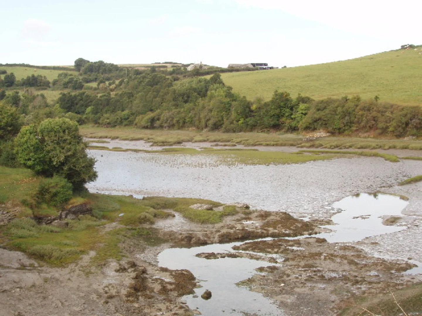 An image depicting the trail Padstow to Bodmin Walk and its surrounding area.