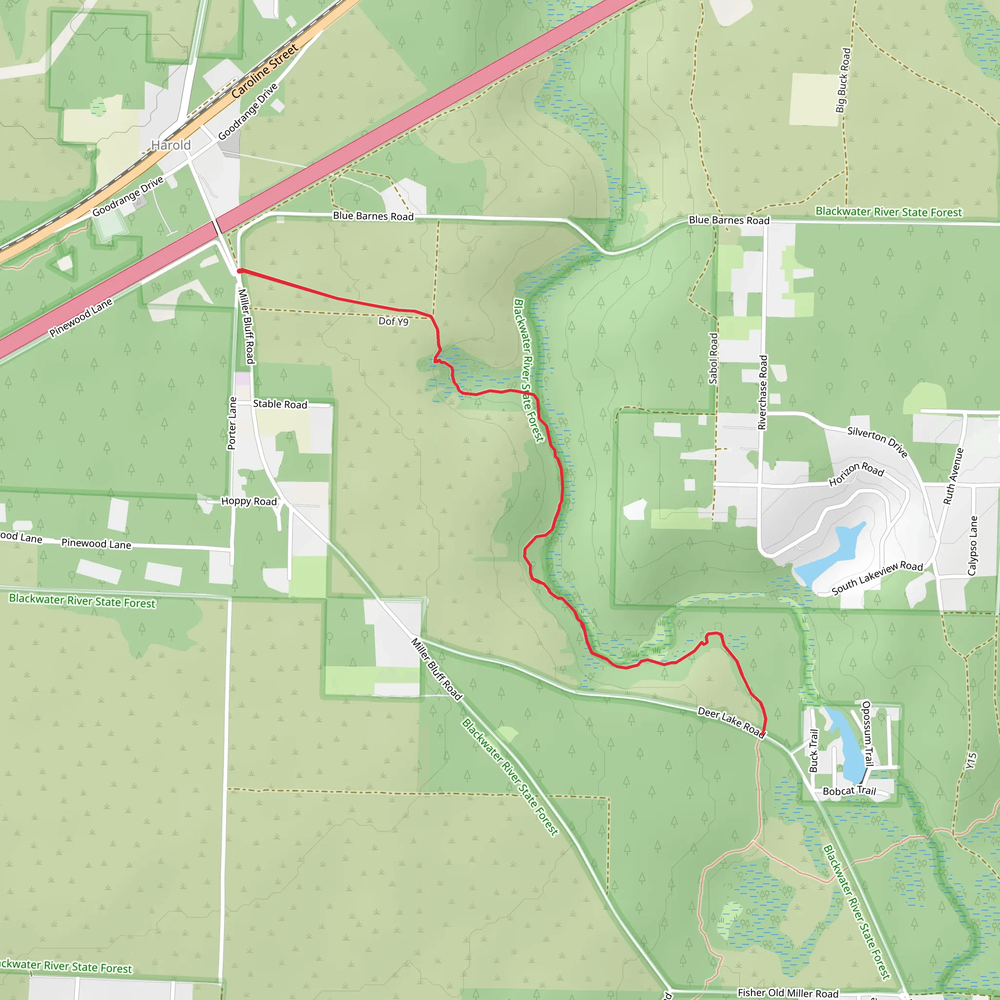 Burnt Grocery Creek - Florida Trail mobile static map