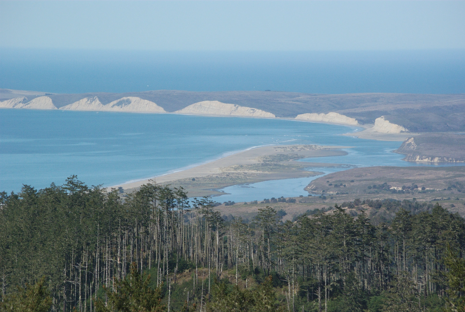 An image depicting the trail Point Reyes Hill via Inverness Ridge and its surrounding area.