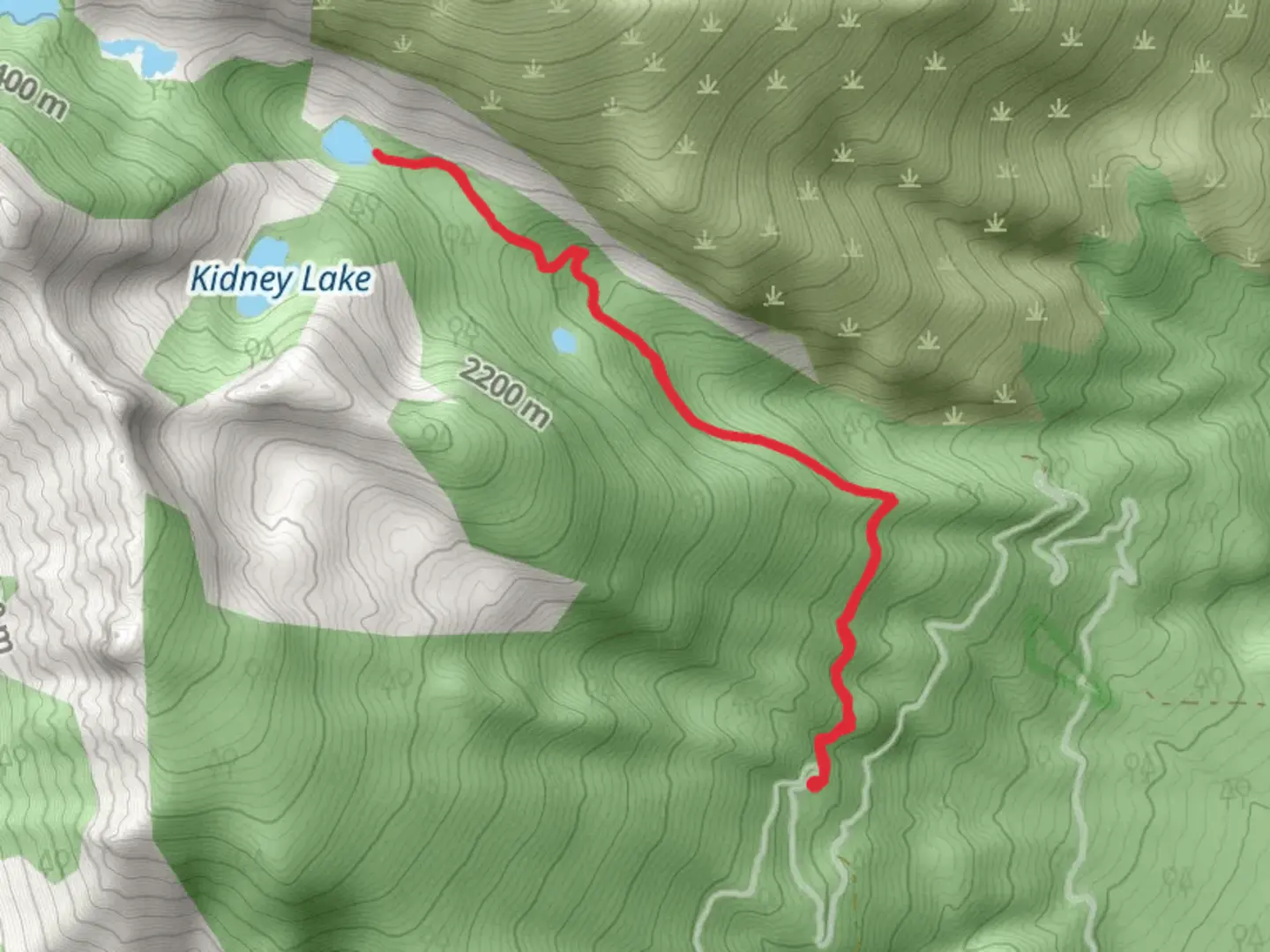 An image depicting the trail Camas Lake Trail and its surrounding area.