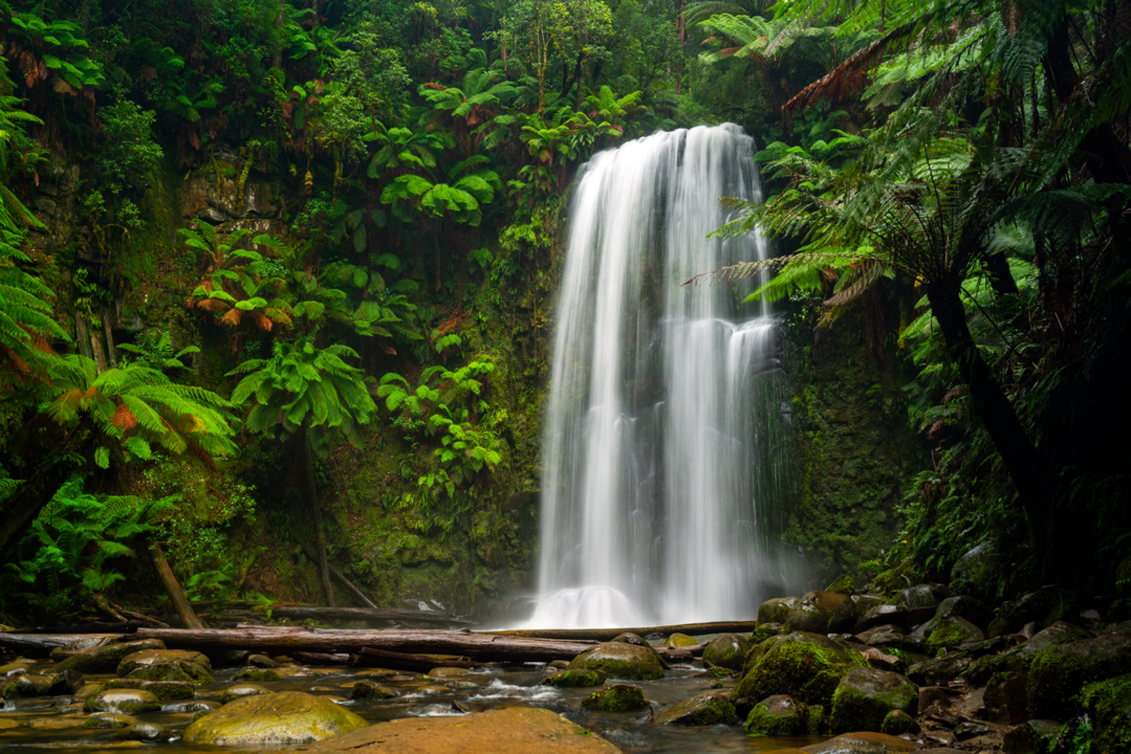 An image depicting the trail Beauchamp Falls Walk and its surrounding area.