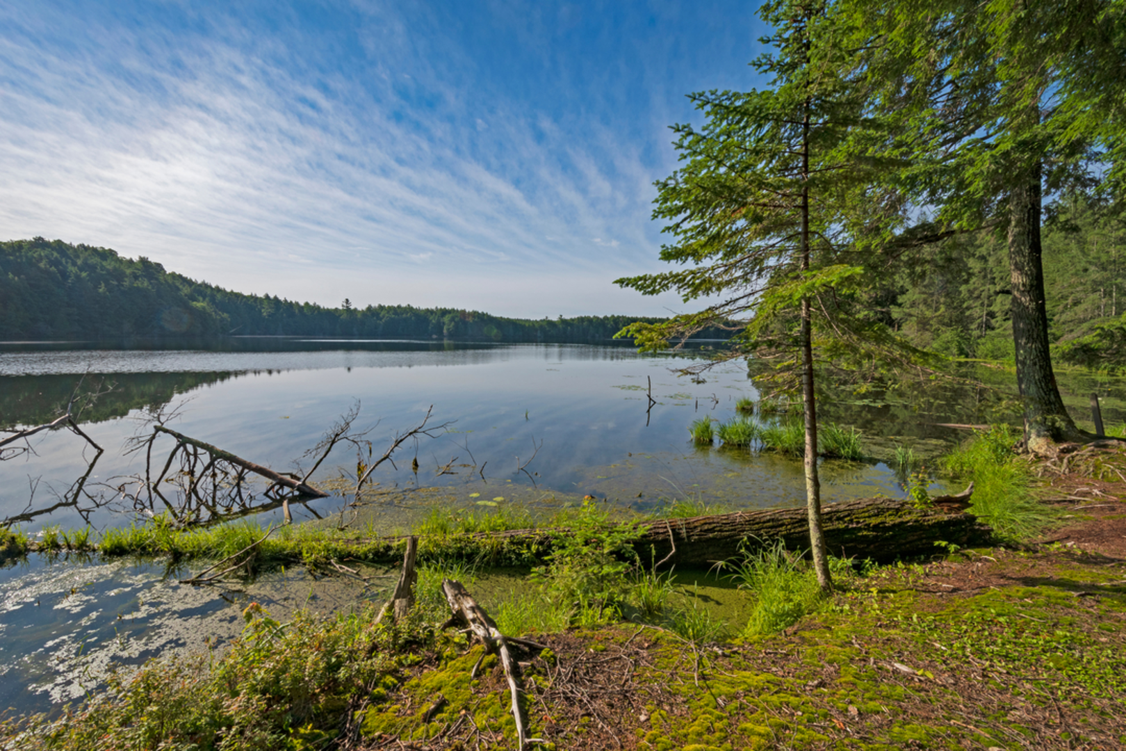 An image depicting the trail Fisher Lake via Clark Lake Loop Trail and its surrounding area.