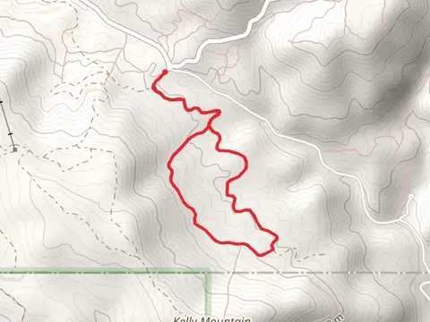 Buckhorn Spring Loop