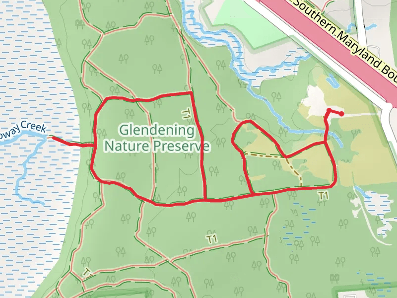 Pine Barrens Trail, Blueberry Trail and Chris Swarth Boardwalk Loop