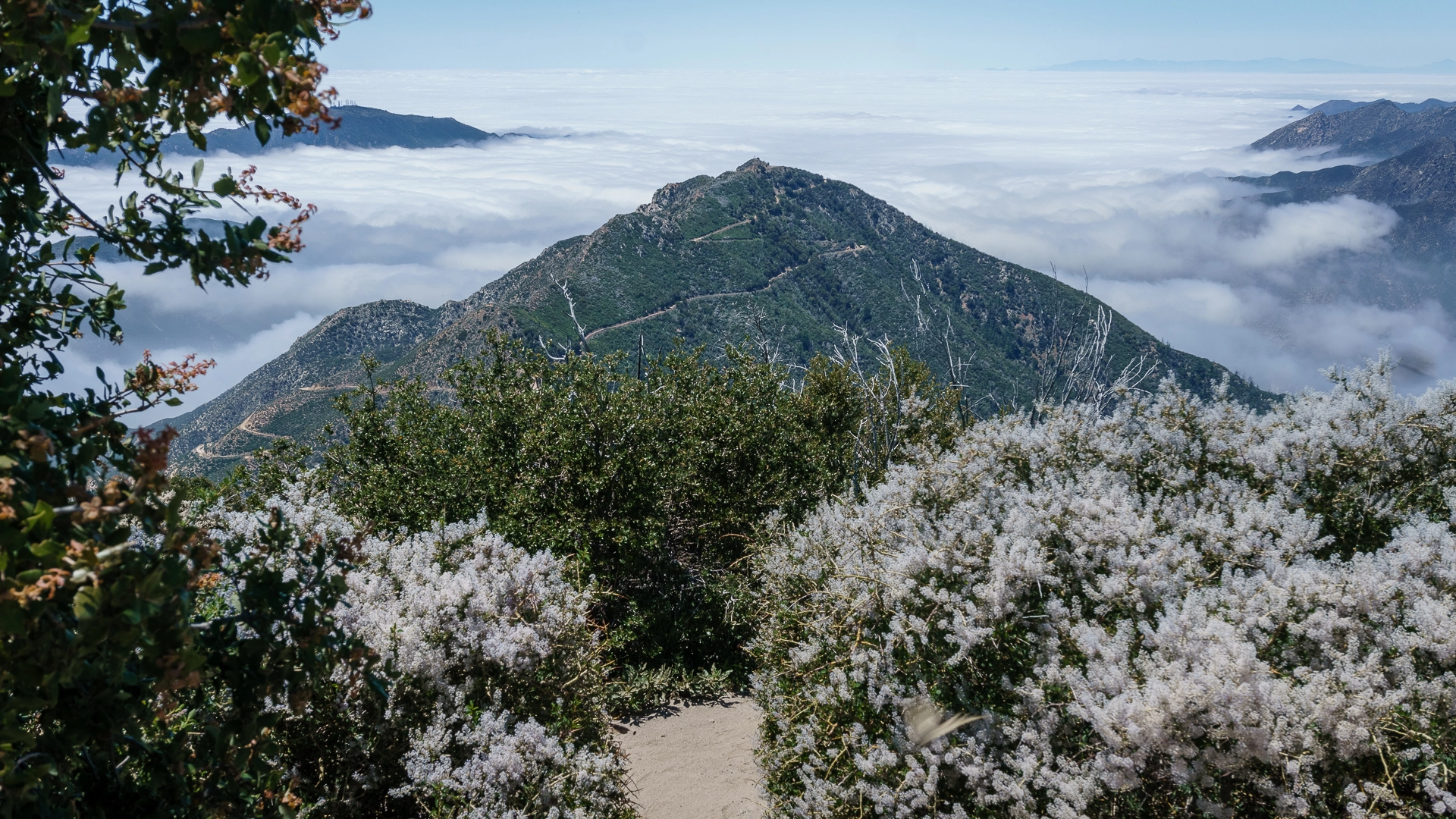 An image depicting the trail Josephine Peak and its surrounding area.