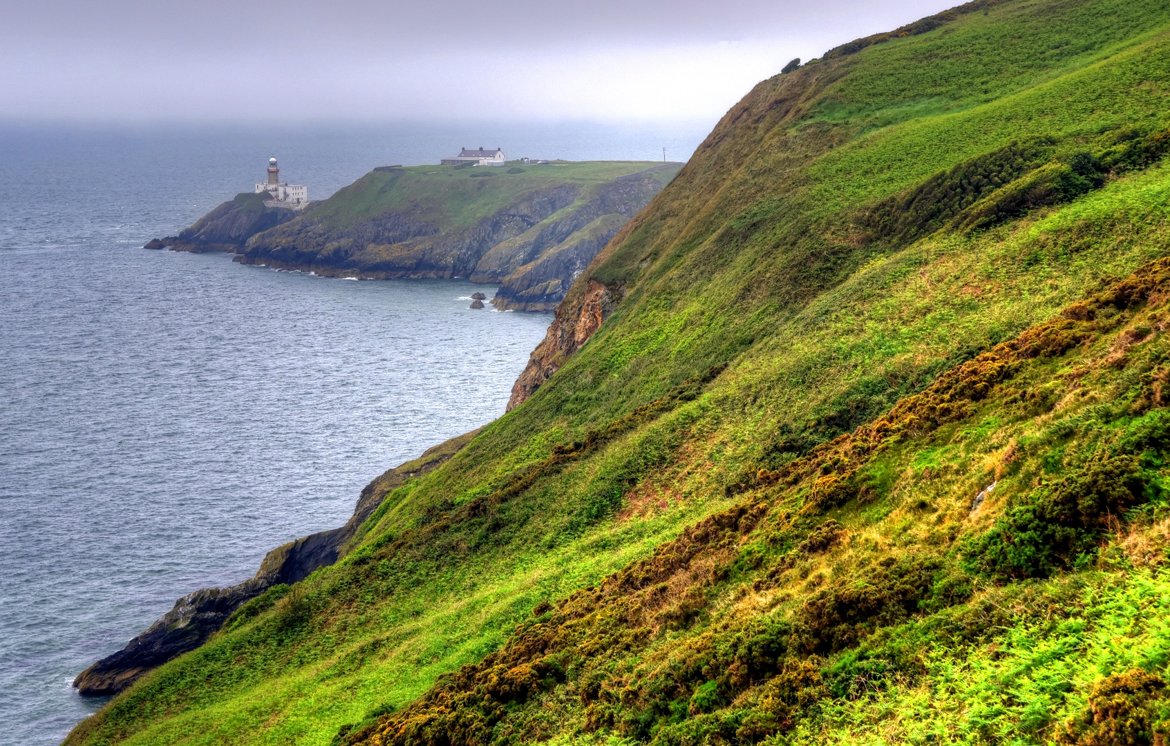An image depicting the trail Howth and Doldrum Bay Loop and its surrounding area.