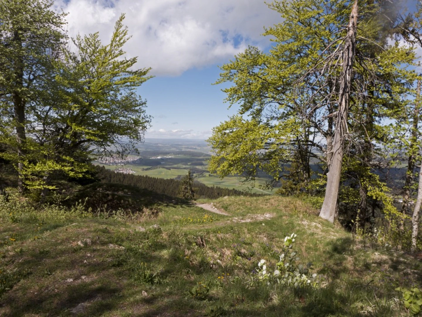 An image depicting the trail Albsteig and its surrounding area.