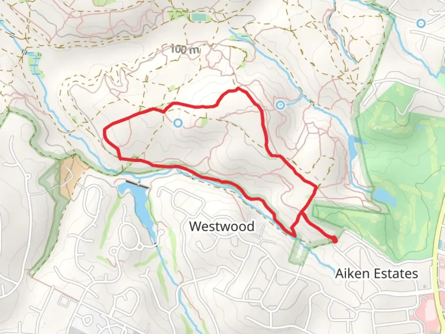 An image depicting the trail Whitney Drive and Cuthbert Ridge Line Loop and its surrounding area.