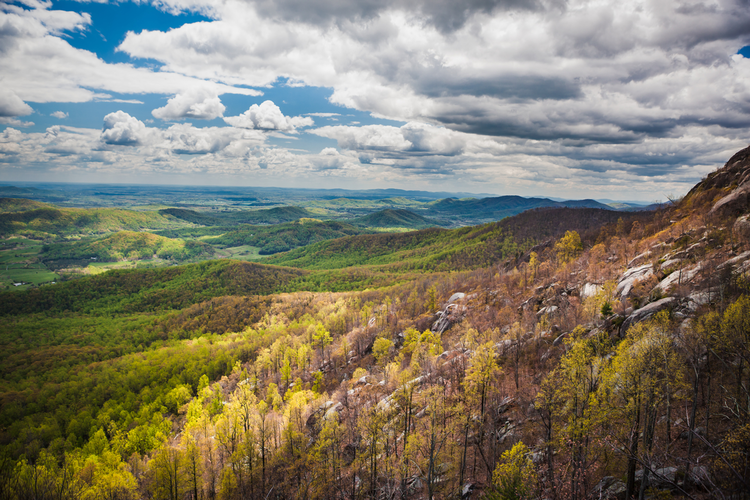 Berry Hollow to Old Rag Mountain Trail