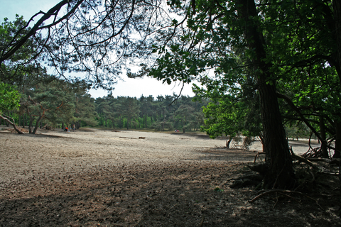 Cadettenlamp and Teteringse Heide Loop