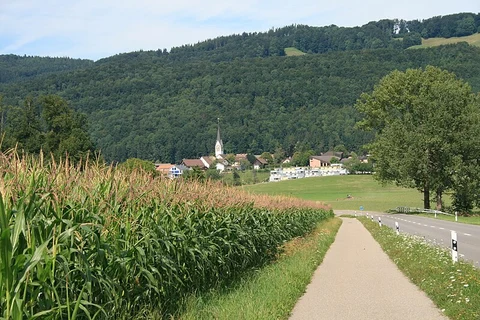 Sihlwald Wilderness Trail