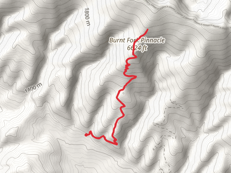 Burnt Fork Pinnacle Trail