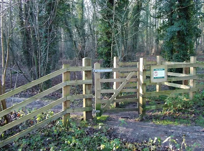 Himley Plantation Loop