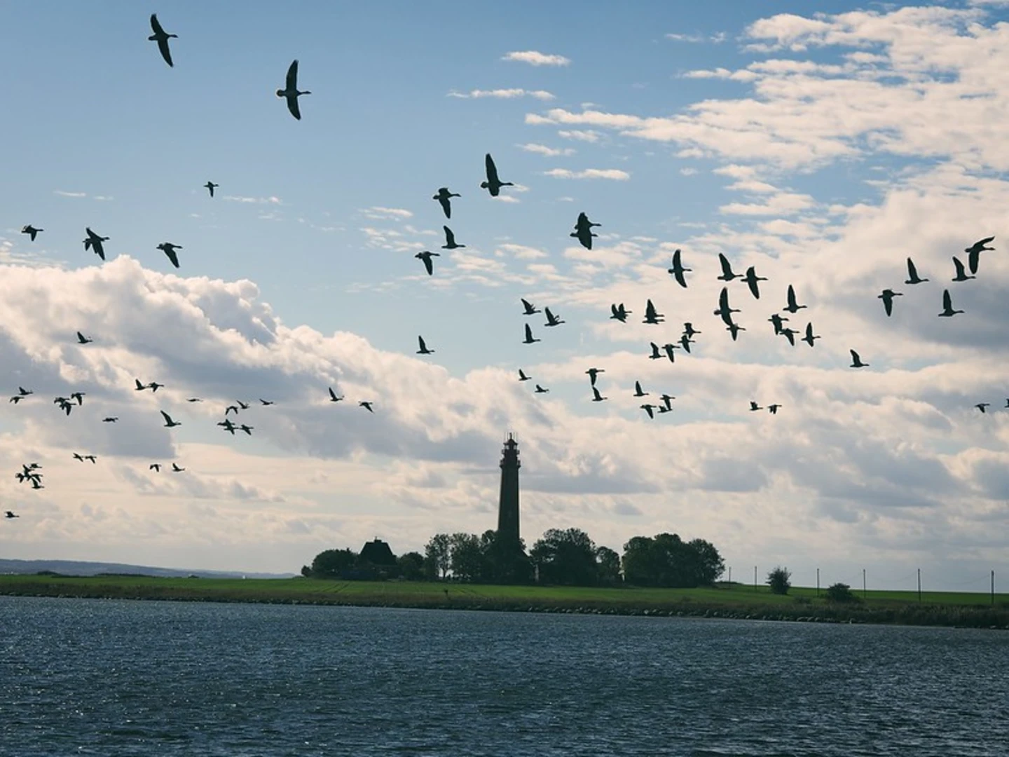 An image depicting the trail NSG Naturschutzgebiet Wallnau-Fehmarn - Flügge and its surrounding area.