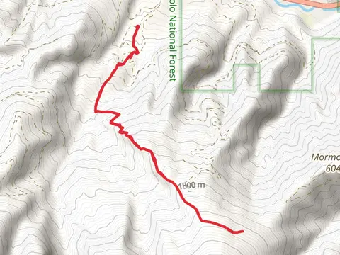 Mill Creek Trail Out and Back