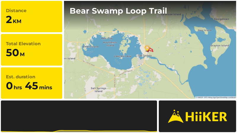 Bear Swamp Loop Trail | Marion County | Florida