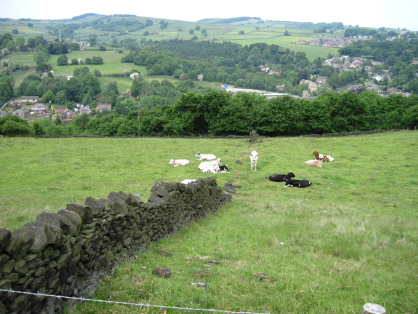 An image depicting the trail Holmfirth - Wooldale - Hole Bottom - Jackson Bridge and New Gate and its surrounding area.