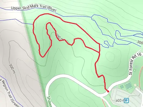Lampblack Hiking Loop Trail