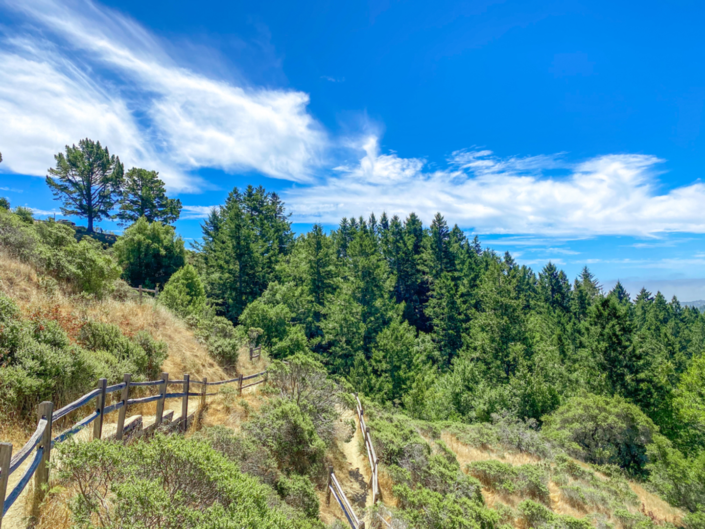 An image depicting the trail Fern Creek to Camp Alice Eastwood Loop Trail and its surrounding area.