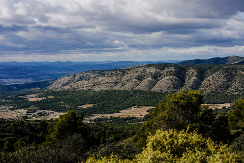 Xorret de Catí - L'alt de Guisop PR CV 031