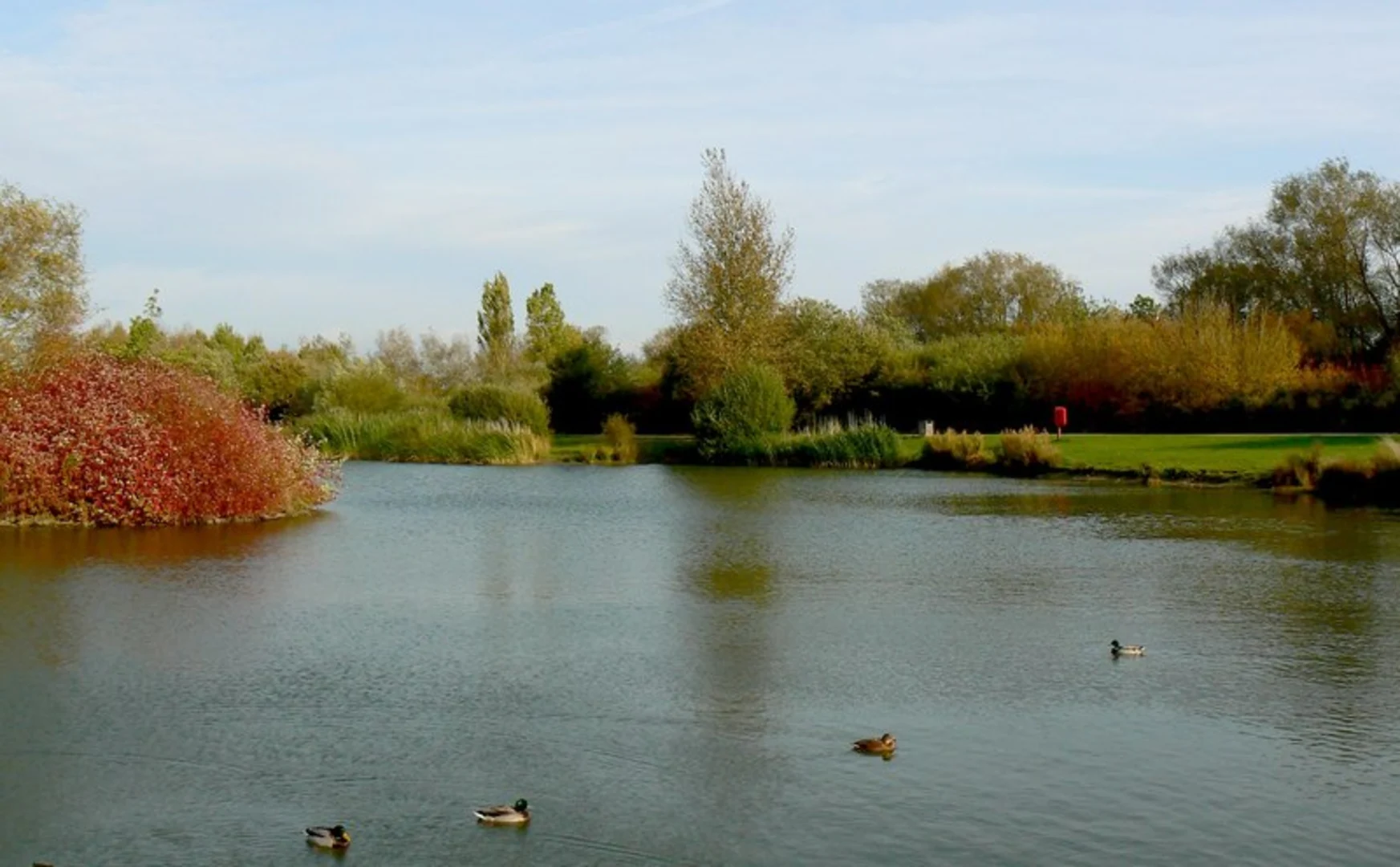 An image depicting the trail Mouldon Hill Amenity Lake Loop and its surrounding area.