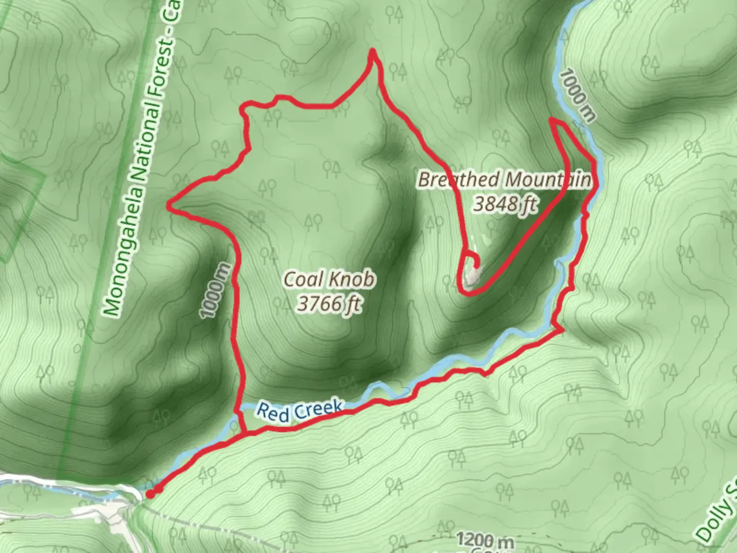 An image depicting the trail Red Creek and Rocky Point Trail and its surrounding area.