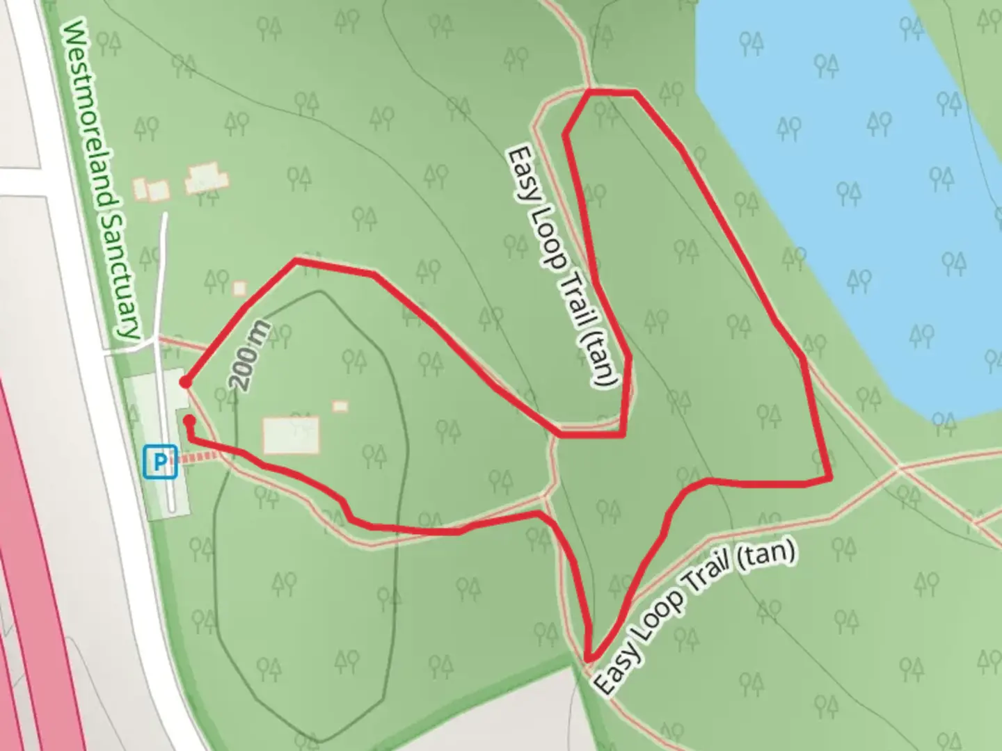 An image depicting the trail Easy Loop Trail and its surrounding area.