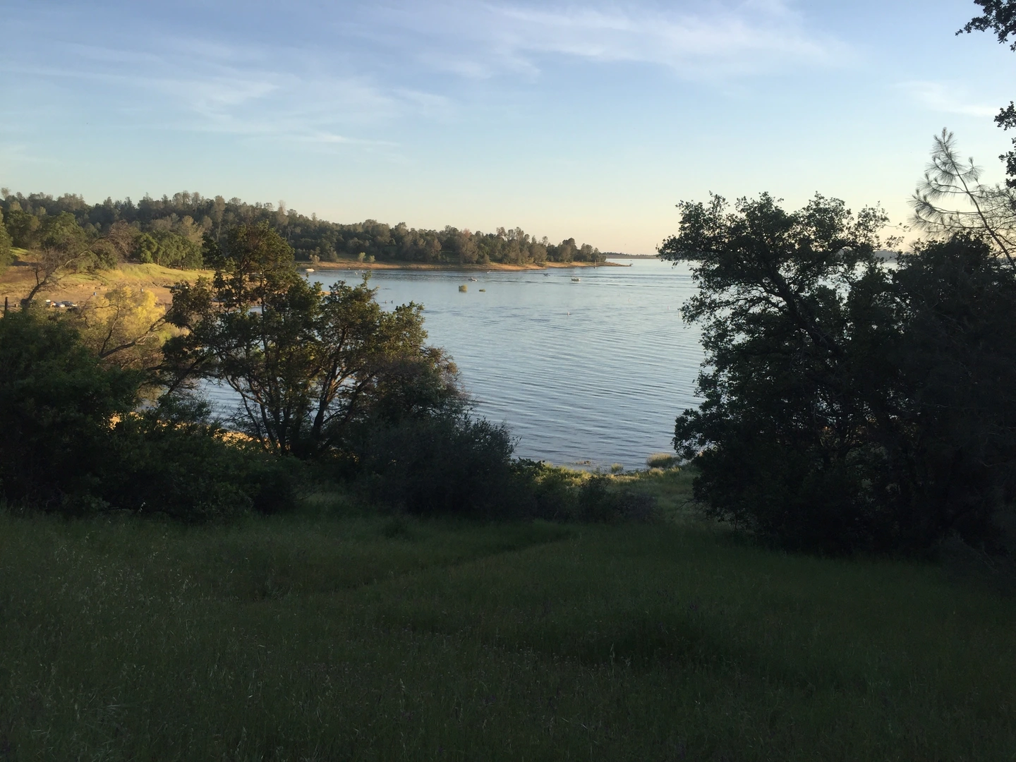 An image depicting the trail American River - Shady Trail and Middle Ridge Trail and its surrounding area.