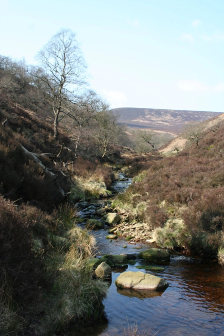 An image depicting the trail Horse Stone Naze Loop via Howden Reservoir and its surrounding area.