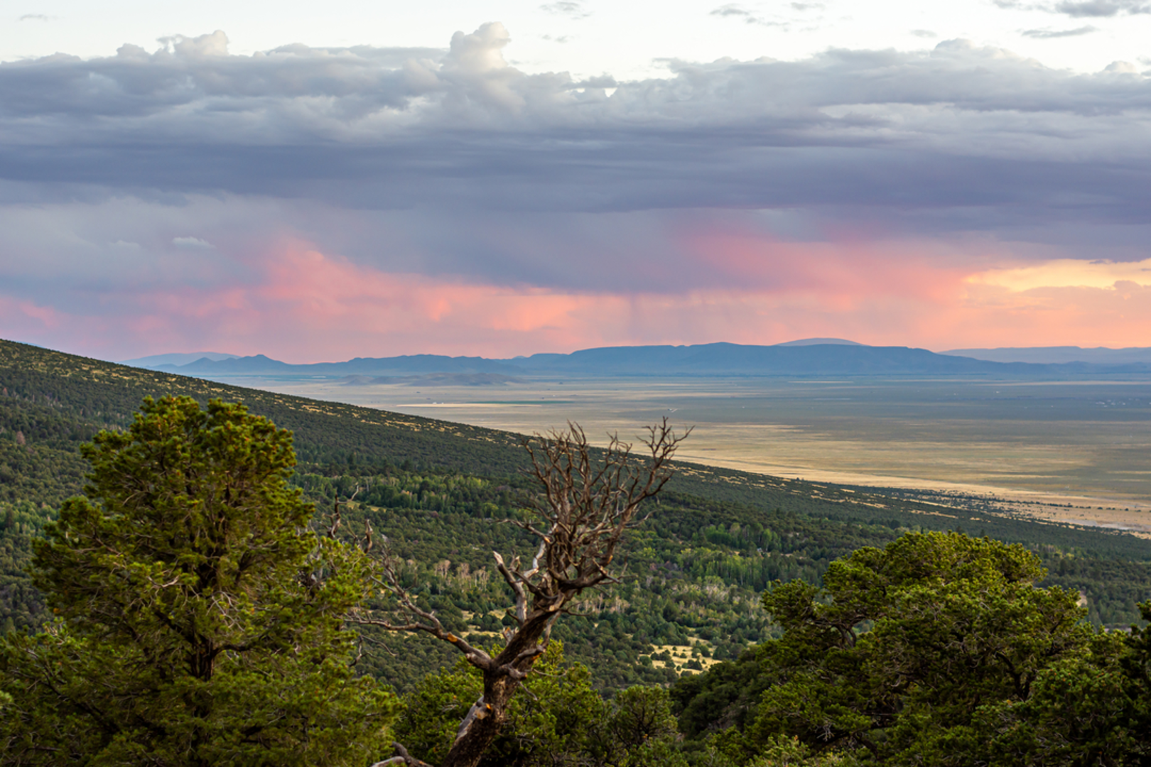 An image depicting the trail South Zapata Lake Trail and its surrounding area.