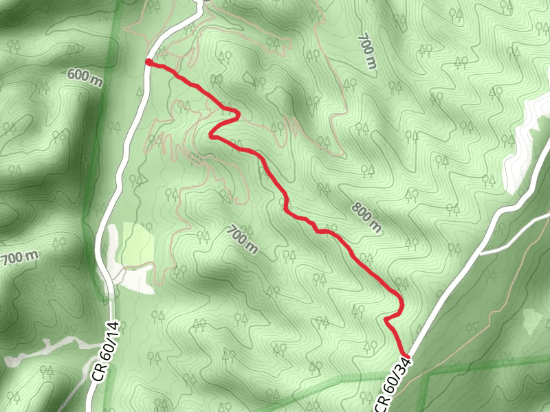 Youngs Nature Trail