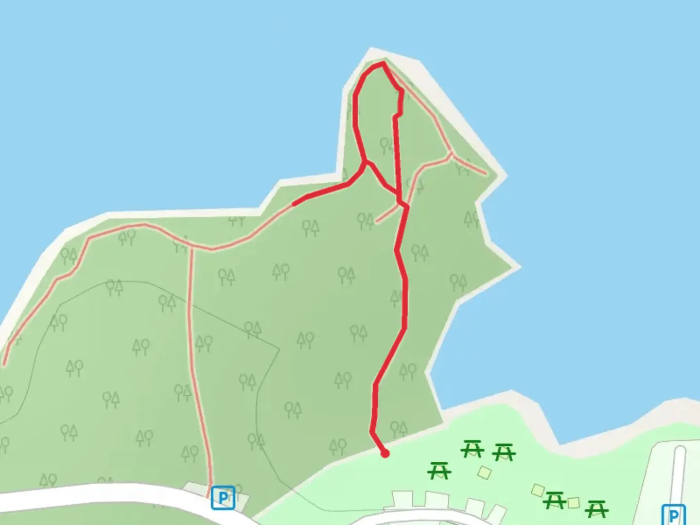 An image depicting the trail Katies Woods Drive and its surrounding area.