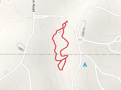 Beech Hollow Nature Loop Trail