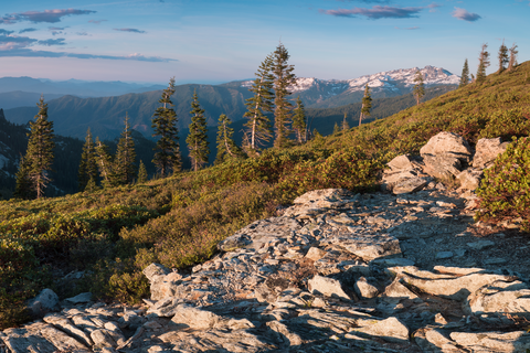 Milt Kenny Trail and Campground Loop Trail